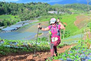 BIB: 
                            <button type="button" onclick="openModal(13381594)" class="btn btn-primary btn-sm float-right btn-popup" data-toggle="modal" data-target=".modal-high-quality">
                        <i class="fas fa-shopping-cart"></i> Add to Cart
                    </button>
                                            <button type="button" onclick="isThisMe(13381594, true)" class="btn btn-success btn-sm float-right btn-popup btn-isme hidden" data-toggle="tooltip" data-placement="bottom" title="นี่คือรูปของคุณใช่ไหม คลิกที่นี่เพื่อเอาเข้าอัลบั้ม">
                        <i class="fas fa-plus"></i> Add to album
                    </button>
                    <button type="button" onclick="isThisMe(13381594, false)" class="btn btn-warning btn-sm float-right btn-popup btn-isnotme hidden">
                        <i class="fas fa-ban"></i> Remove from album
                    </button>